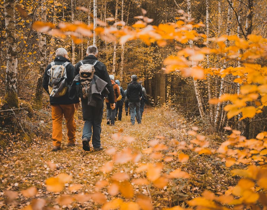 Stiltewandeling