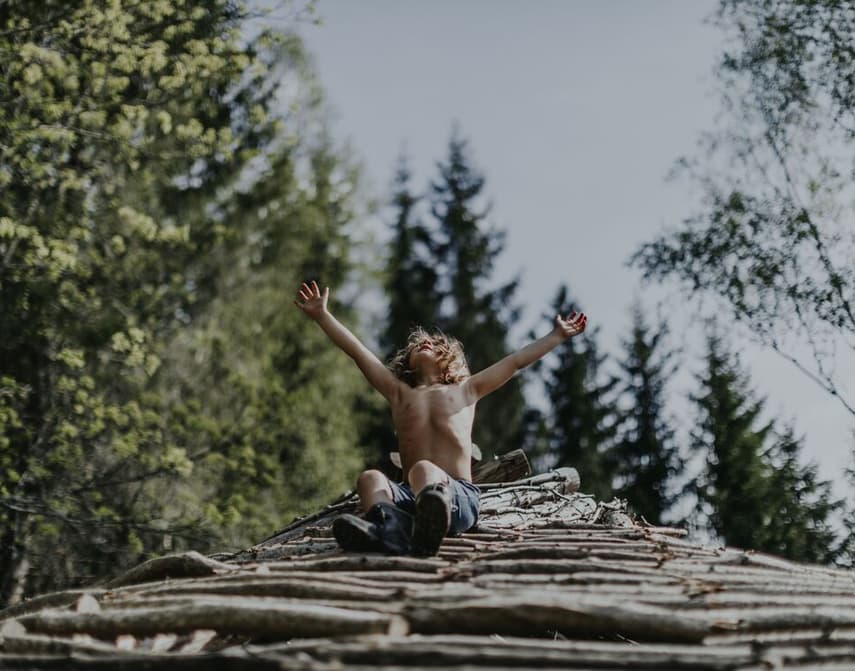 Kloosterbioscoop - A new kind of wilderness