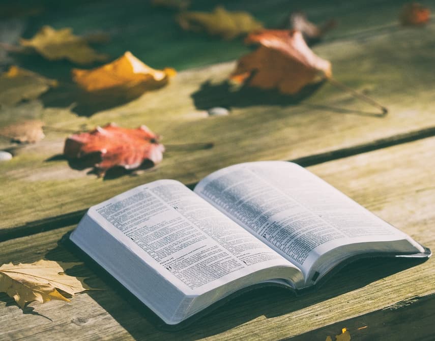 De Bijbel open